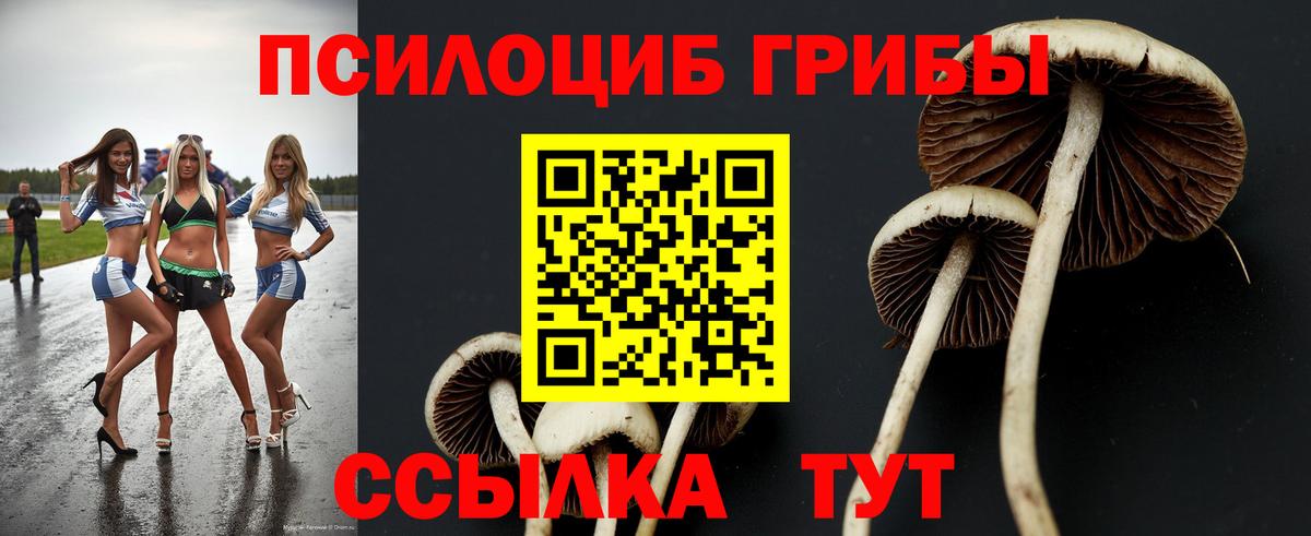 Казань  Псилоцибиновые грибы Psilocybe  Вход с VPN 