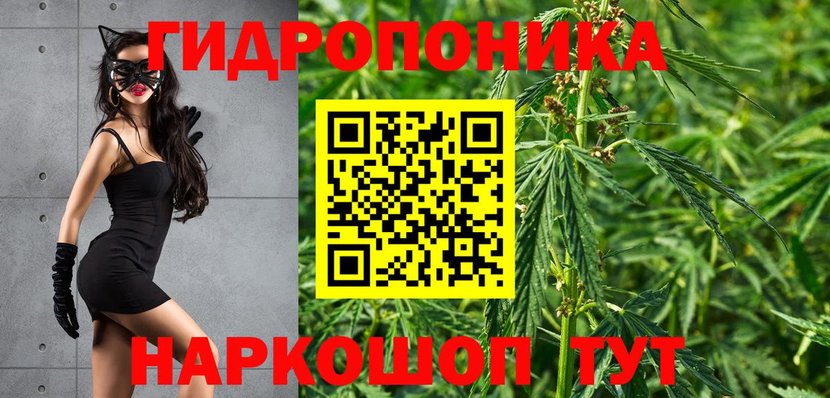 Бошки марихуана план Казань